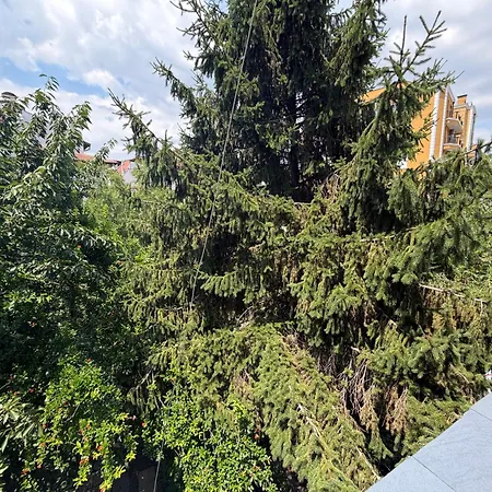 بيت ضيافة Izgrev Sarafovo بورغاس